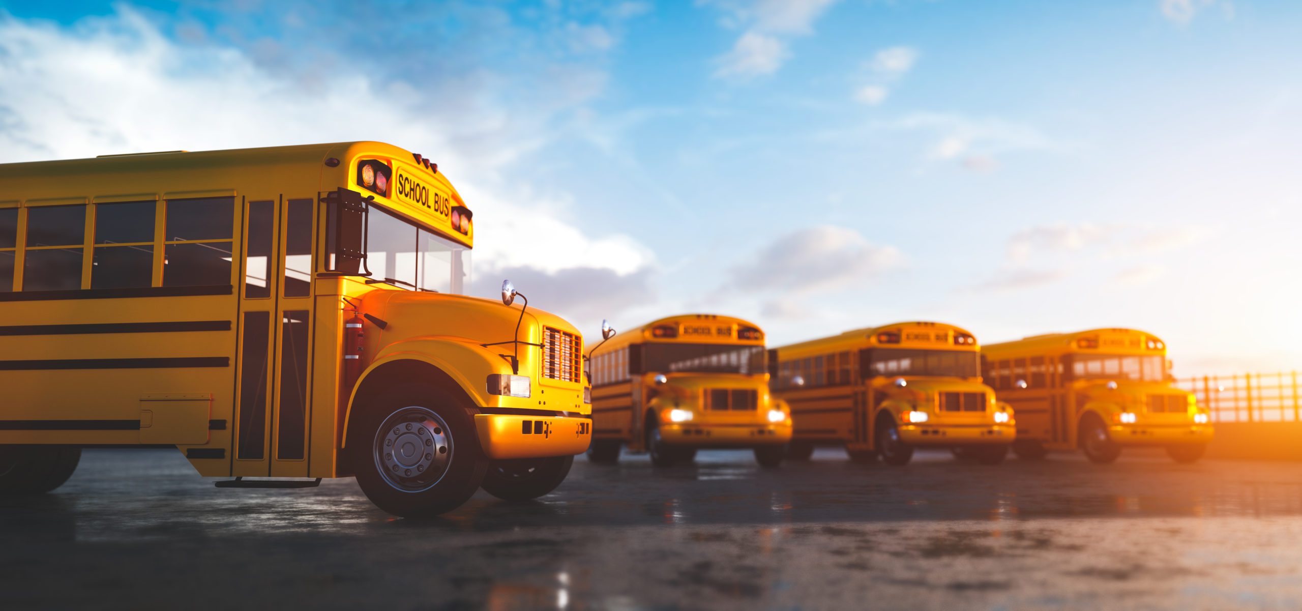 Staten Island School Bus